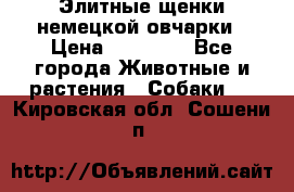 Элитные щенки немецкой овчарки › Цена ­ 30 000 - Все города Животные и растения » Собаки   . Кировская обл.,Сошени п.